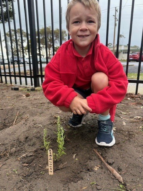 /uploaded_files/media/gallery/1753929004Planting 5.jpg